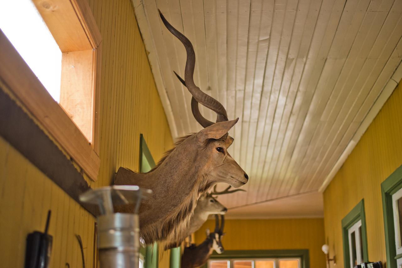 Hotel Casa De La Oma Frutillar Dış mekan fotoğraf